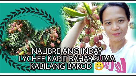 'pinay kapit bahay' Search .